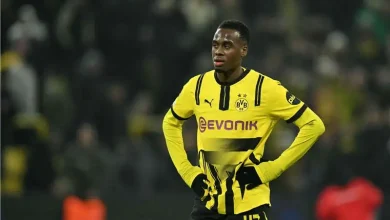نيوكاسل يدخل في منافسة مع تشيلسي لضم نجم بوروسيا دورتموند