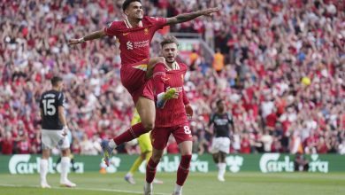 يستهدف النصر والهلال ثنائي ليفربول لويس دياز وداروين نونيز